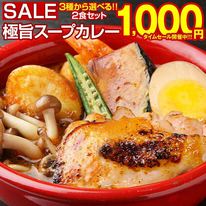 【最大半額以下タイムセール！11日10:00迄 1,000円ポッキリ〜！】 カレー レトルト【3種から選べる 北海道極旨スパイシー.スープカレー2食.】 レトルトカレー スパイス チキン 北海道スープカレー カレーセット スパイスカレー 角煮 スパイスカレーセット 北海道 【B】 【Q】