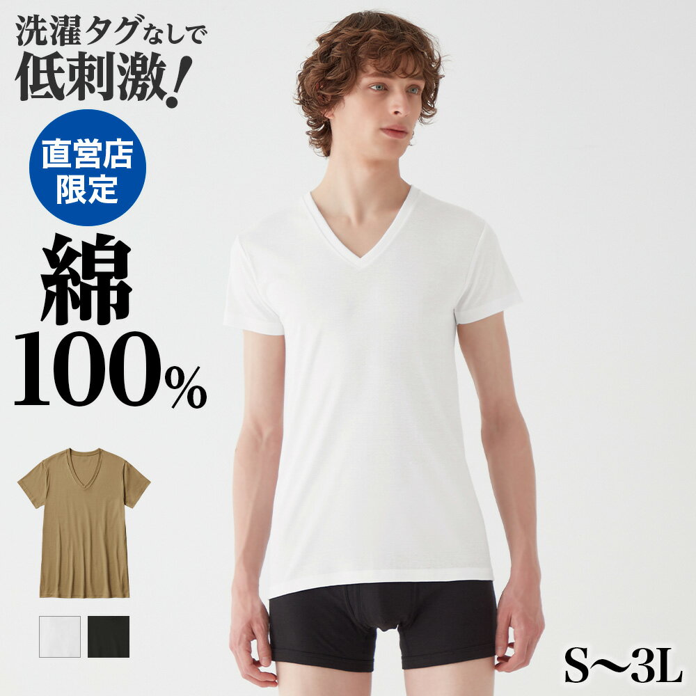 【タイムセール】グンゼ インナーシャツ 半袖 Vネック メンズ 綿100 綿 コットン 消臭 柔らかい タグなし 日本製 シャツ V首 肌着 白 黒 ベージュ CK9015 CK8315 S M L LL 3L