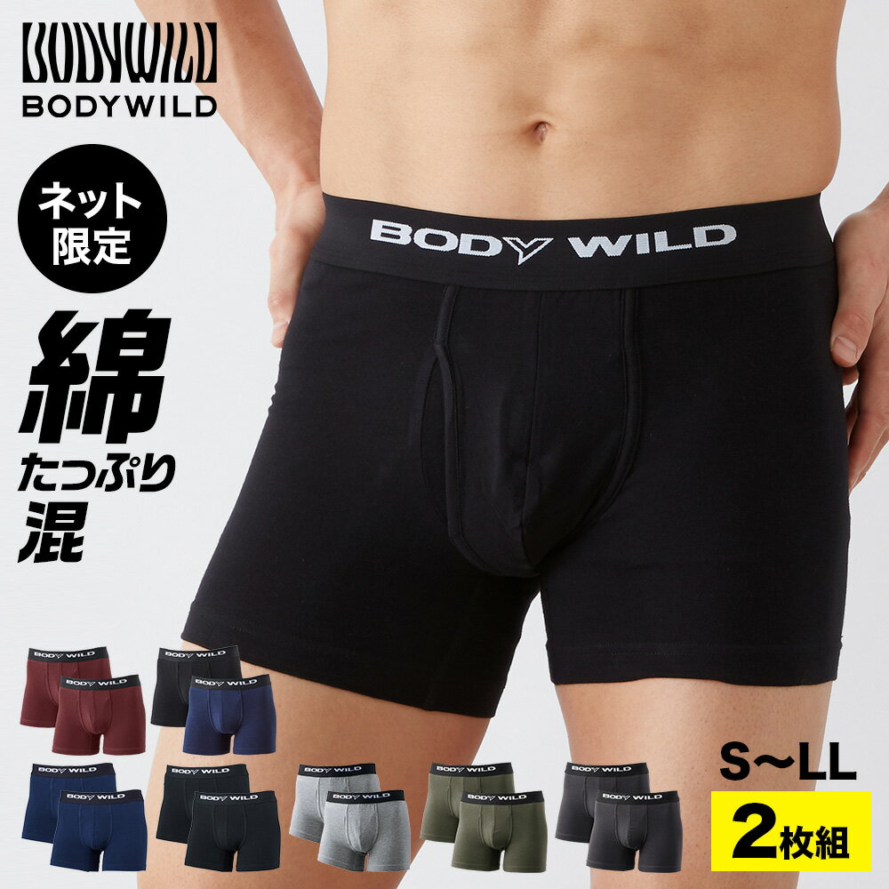 【タイムセール】グンゼ ボディワイルド ボクサーパンツ メンズ 2枚組 セット 前開き 綿混 綿 無地 シンプル ストレッチ 限定 ボクサーブリーフ 下着 BODYWILD BWB0802 S M L LL